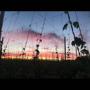 Meet your Posher, Tabitha